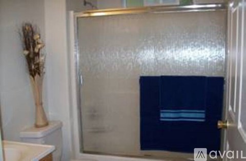 A bathroom with a blue door and a glass shower door.