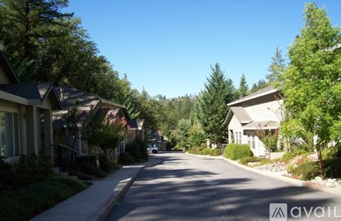 201 Cedar Ravine Cir 2 Beds Apartment for Rent