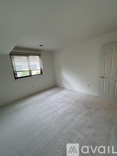 46-3 Holly Dr 2 Beds Apartment for Rent - Photo gallery 4