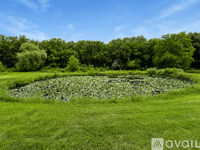 A pond filled with green plants sits in the middle of a grassy field.