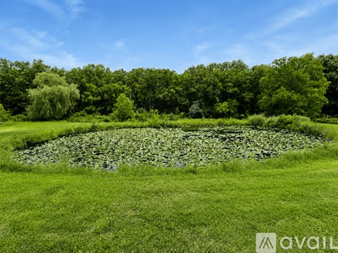 A pond filled with green plants sits in the middle of a grassy field.