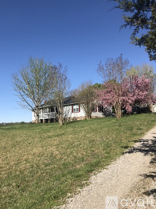1450 Beaverdam Creek Rd 3 Beds Single Family Home for Rent - Photo gallery 4