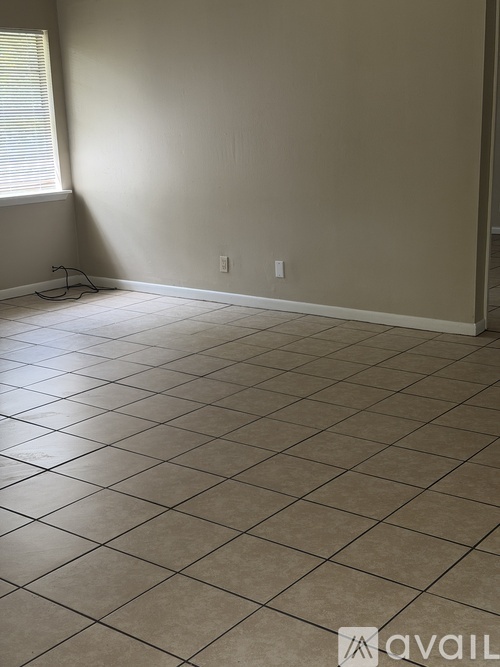 205 Daniel St 2 Beds Apartment for Rent - Photo gallery 4