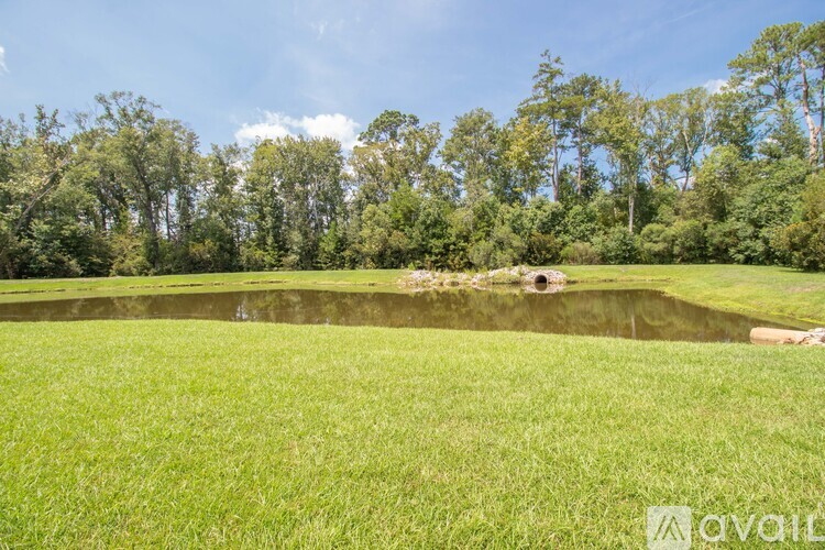 A grassy field with a pond and trees in the background.