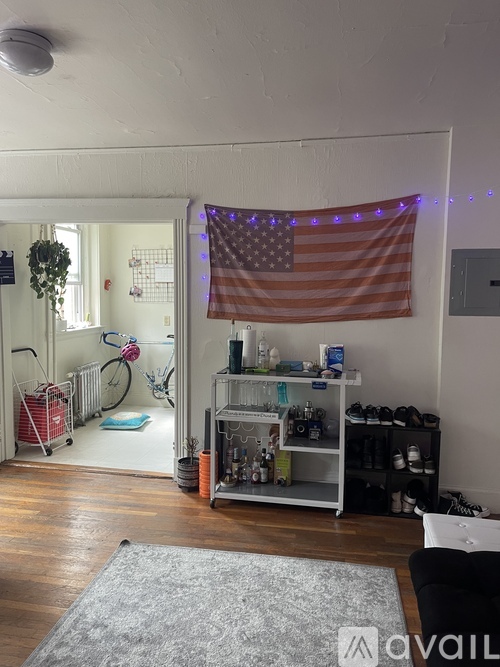 A room with a grey rug, a white sofa, a grey shelf with shoes and a plant, a white door with a mirror, a bicycle, a red shopping cart, and an American flag hanging on the wall