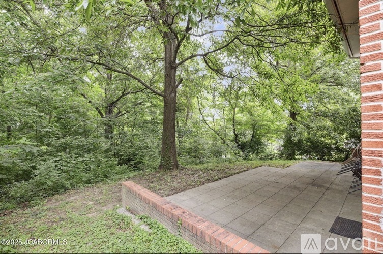 A tree is in the middle of a grassy area.