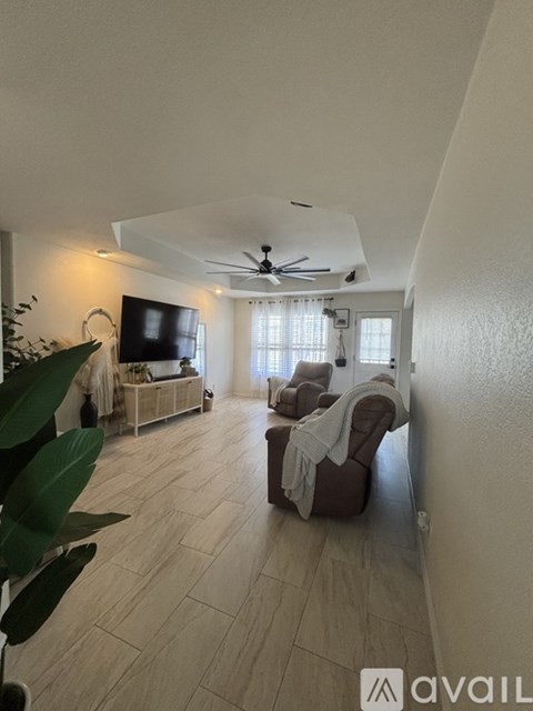A living room with a television, couch, and a plant.