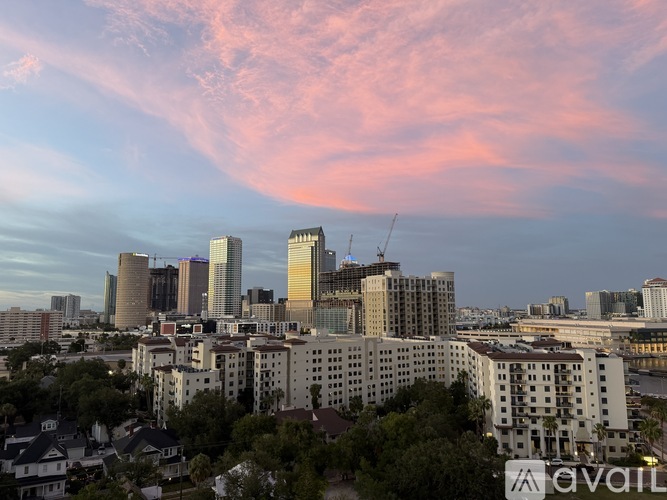 345 Bayshore Boulevard 2 Beds Condo for Rent - Photo gallery 4