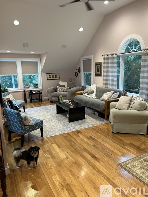 A dog is standing in a living room with a couch and a chair.