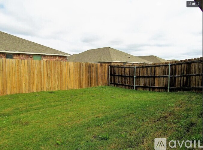 A backyard with a wooden fence and green grass.