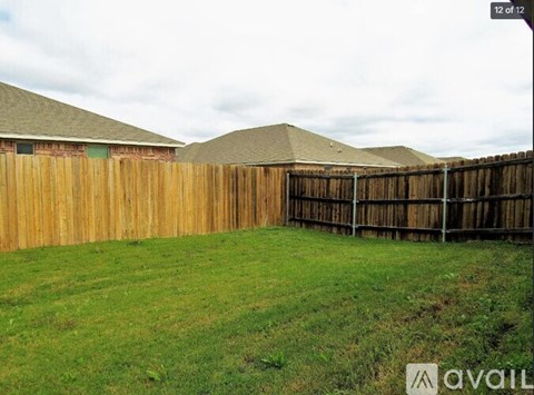 A backyard with a wooden fence and green grass.
