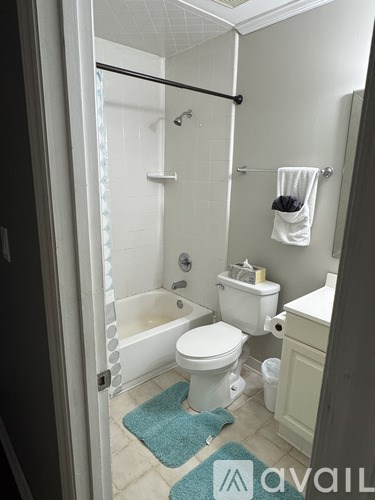 A white toilet is in a bathroom with a blue rug on the floor.