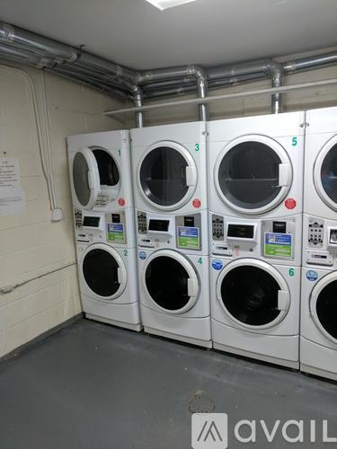 A row of white washing machines are lined up in a laundry room.