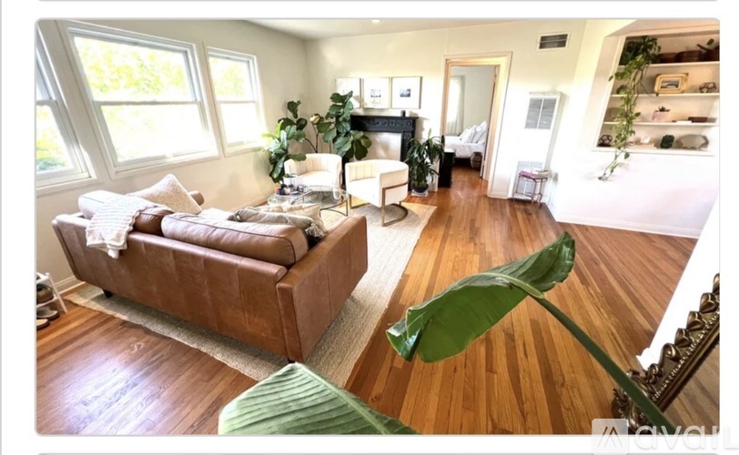 A living room with a brown couch and a green plant.