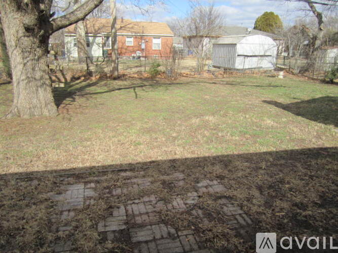 A backyard with a tree and a shed in the background.