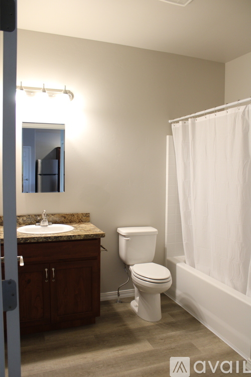 A bathroom with a toilet, sink, and shower curtain.