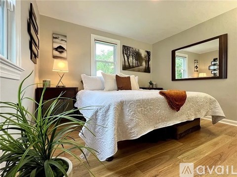 A bedroom with a large bed, a potted plant, and a mirror on the wall.