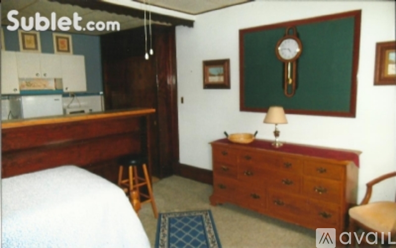 501 South Bloomington Street 1 Apartment for Rent - Photo gallery 5