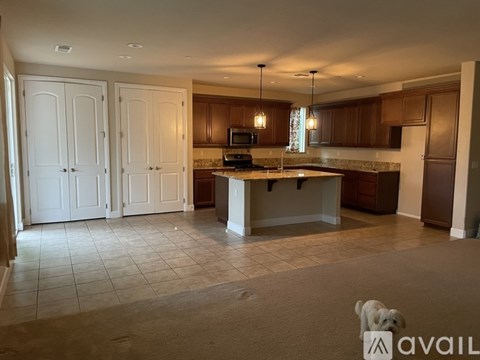 A dog is standing in the middle of a kitchen.