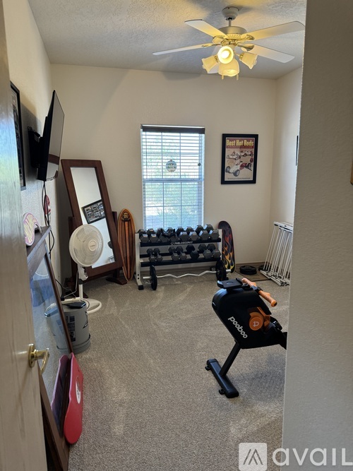 A room with a fan, a couch, and a gym equipment.