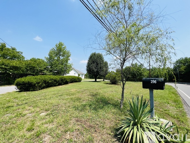 A mailbox with the number 296 on it is in the foreground of a grassy area with a tree and a house in the background.