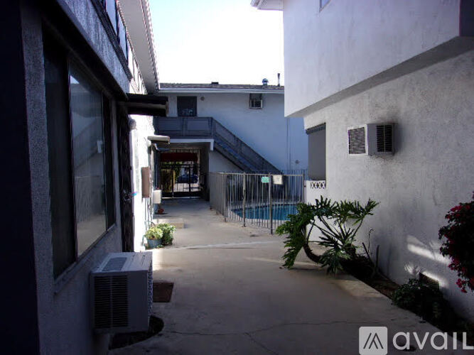 A sunny day in a courtyard with a pool and plants.