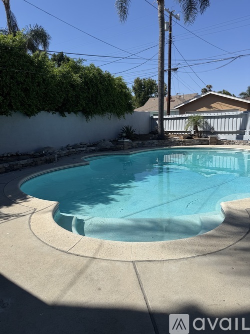 A pool surrounded by a concrete patio and a white wall.