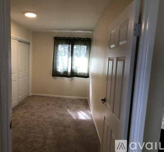 A room with a carpeted floor and a window with curtains.