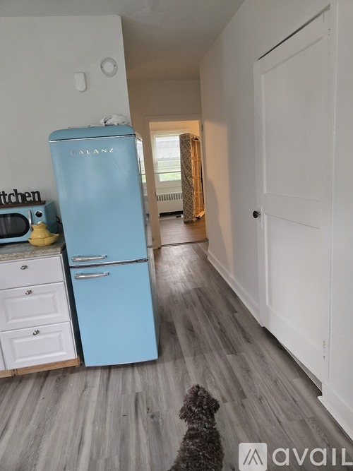 153 Winthrop Avenue 1 Apartment for Rent - Photo gallery 4