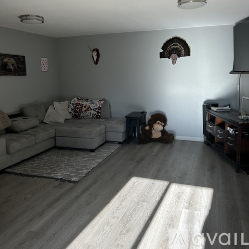 A living room with a grey couch and a wooden floor.