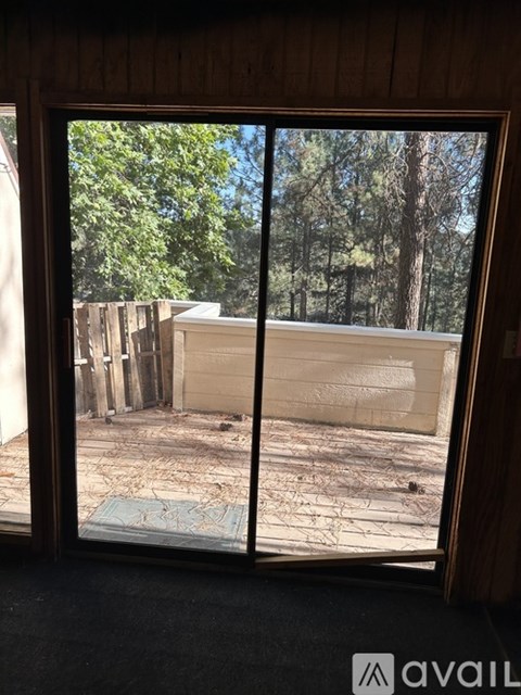 A view from inside a room looking out to a backyard with a fence and trees.