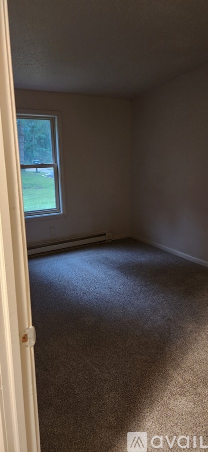 28940 Coulter Street 3 Beds Single Family Home for Rent - Photo gallery 4