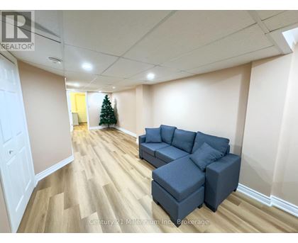 A living room with a grey couch and a Christmas tree.