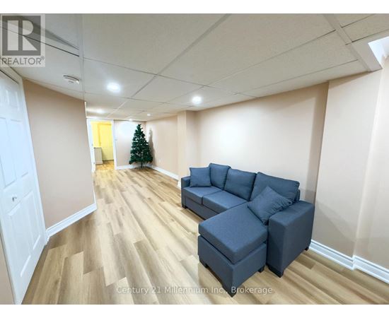 A living room with a grey couch and a Christmas tree.