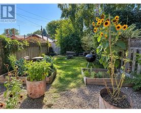 A garden with a sunflower plant in a pot and a BBQ grill in the background.