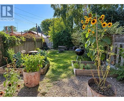 A garden with a sunflower plant in a pot and a BBQ grill in the background.