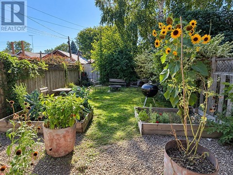 A garden with a sunflower plant in a pot and a BBQ grill in the background.