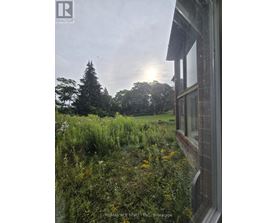 A window overlooks a field of wildflowers and trees.