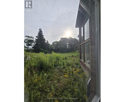 A window overlooks a field of wildflowers and trees.