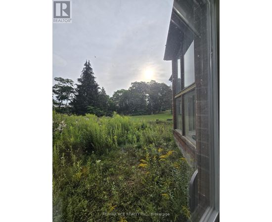 A window overlooks a field of wildflowers and trees.