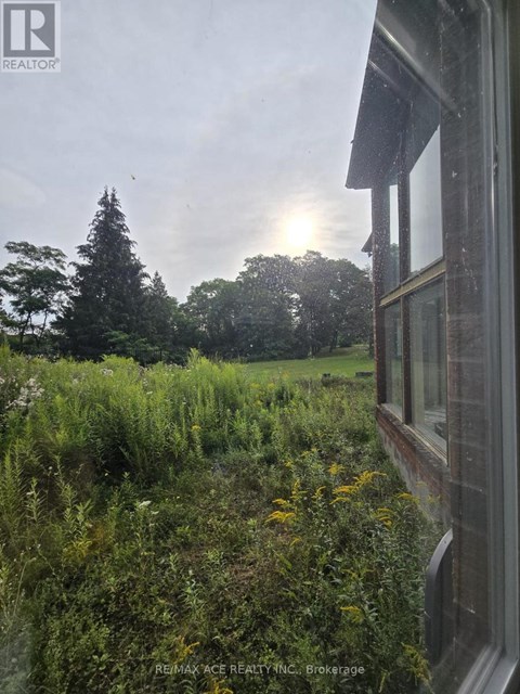 A window overlooks a field of wildflowers and trees.