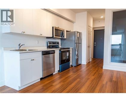 A modern kitchen with white cabinets and stainless steel appliances.