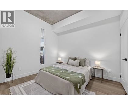 A bedroom with a large bed and a potted plant.