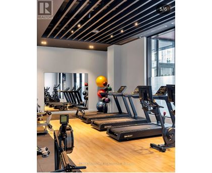 A gym with treadmills, exercise balls, and weights.