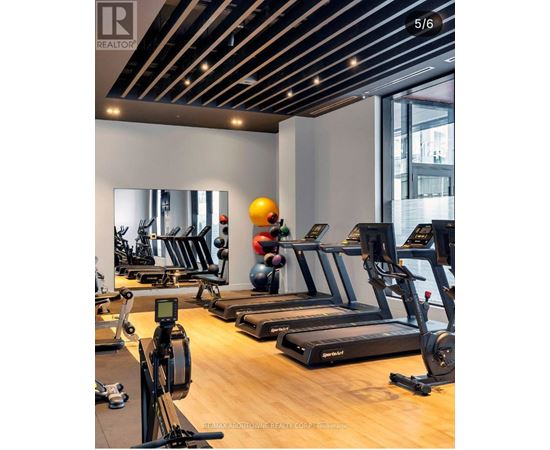 A gym with treadmills, exercise balls, and weights.