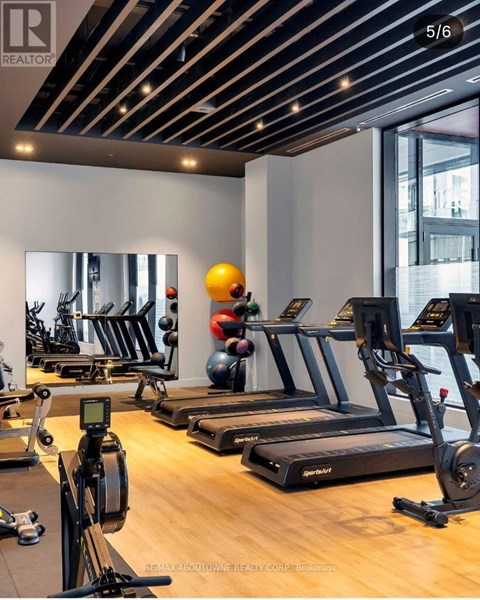 A gym with treadmills, exercise balls, and weights.