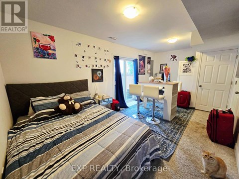 A bedroom with a bed, desk, and a cat.