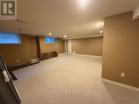 A spacious room with a carpeted floor and a window with blinds.
