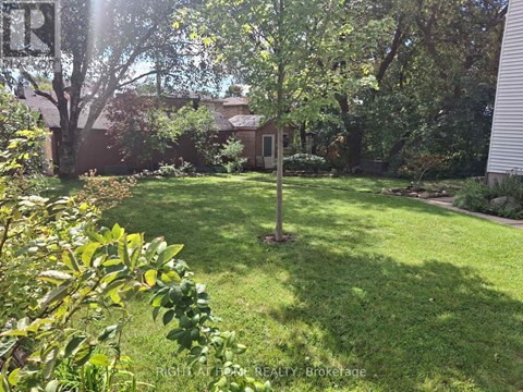 A backyard with a lawn and a tree.