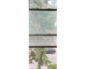 A car is parked on a street with trees and houses in the background.